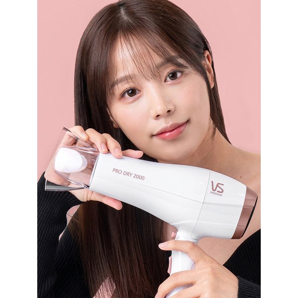 2000W 파워 드라이어 (VSD565K)