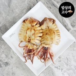 국산 반건조오징어 피데기 손질 통 오징어 5마리 750g