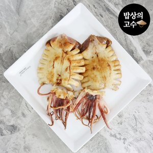  국산 반건조오징어 피데기 손질 통 오징어 5마리 750g