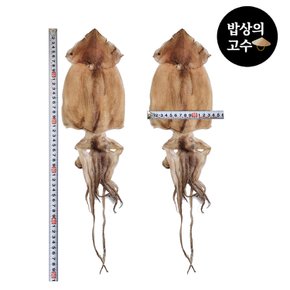 국산 반건조오징어 피데기 손질 통 오징어 5마리 750g