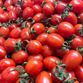 당일수확  스위프리 스테비아  방울토마토 사과향 500g x 2팩/국내산 방울 토마토