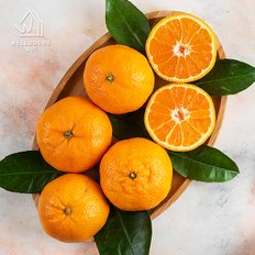 웰굿 프리미엄 미국산 달콤한 만다린 귤 1kg(12-15과)