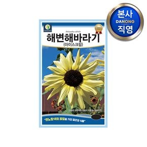 해변해바라기 아이스크림 씨앗 50립 . 연노랑색 꽃잎 야생화 식물 꽃 꽃씨 종자