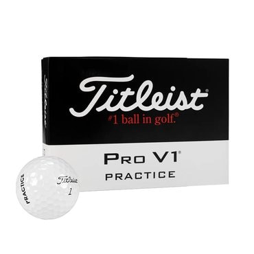 타이틀리스트 PRO V1 골프볼 12구 병행