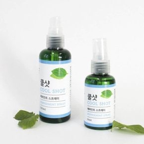 THS 더허브샵 쿨샷 페퍼민트 스프레이 50ml 03068 (WC1B9A9)