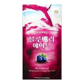 블루베리 에이드 230ml 1개