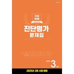 천재교육 해법 기초학력 진단평가문제집 3학년 (8절) (2025)