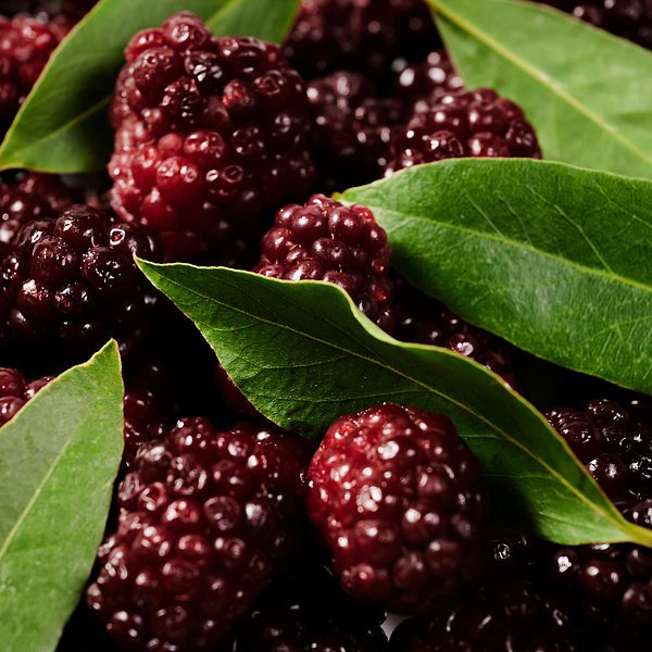 자주 블랙베리 퍼퓸바 100g J81N902050100