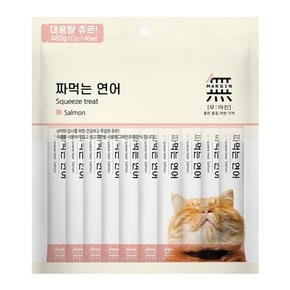 무마진 짜먹는 연어 480g12g x 40개