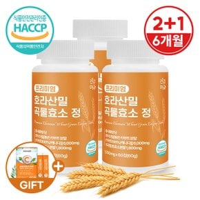 [건강머금] 호라산밀 카무트 곡물 발효 효소 정 2+1병(6개월분) +비타씨