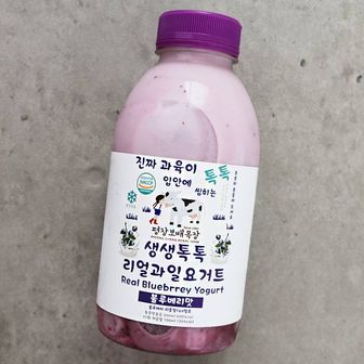 사그담 평창보배목장 블루베리맛 요거트 500ml