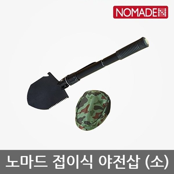 확대된 대표 image1