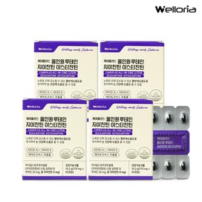 케어플러스 올인원 루테인 지아잔틴 아스타잔틴 4박스(총 170mg x 240캡슐/8개월분) / 눈건강