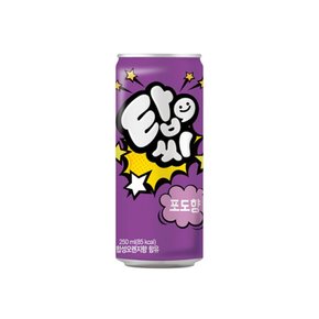 탑씨 포도 (250ml) 캔음료 음료수 탄산음료 과즙탄산음료