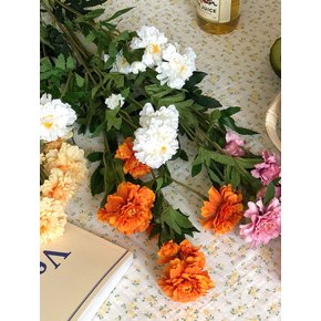 메리골드 조화 4color
