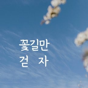 디자인황소 감성문구 레터링 스티커 명언 좋은글귀 39 꽃길만걷자