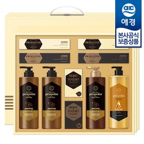 [애경 선물세트] 프로폴리스 로얄 에디션 x3개 (1BOX)