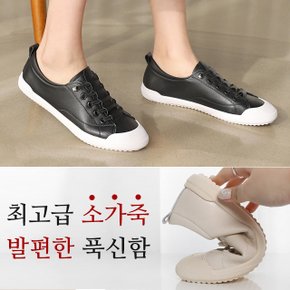 라티나 소가죽 밴딩끈 탄력몰드창 스니커즈(2.5cm)