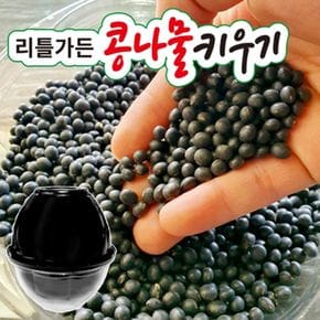 리틀가든콩나물키우기