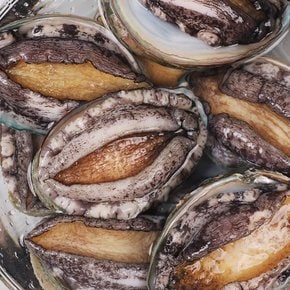 [산지직송]특대 완도 활전복 1kg(11-12미) 산소포장