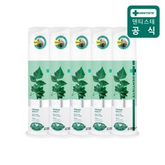 덴티스테치약 뉴플러스화이트 펌프 170g 5개