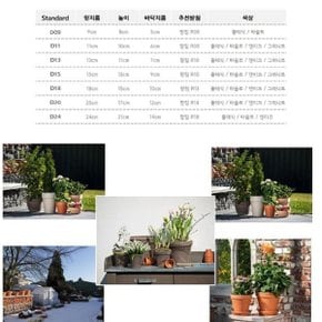 베하몰 독일 표준형 토분 9x8cm 클래식