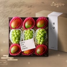 [9/11 16시까지 주문시 명절전 배송][SSG 정담] Premium 샤인 애플망고 선물세트 (샤인3송이, 애플망고6개)