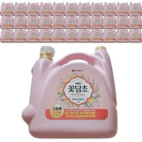 샤프란 꽃담초 허브부케가르니 5.5L 연꽃 2개