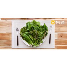 GAP인증 농협선별 모듬 쌈채소 600g