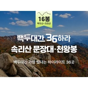 [당일/10~11월] 16봉 속리산 문장대·천왕봉 & 법주사 산행│백두대간 36 하라