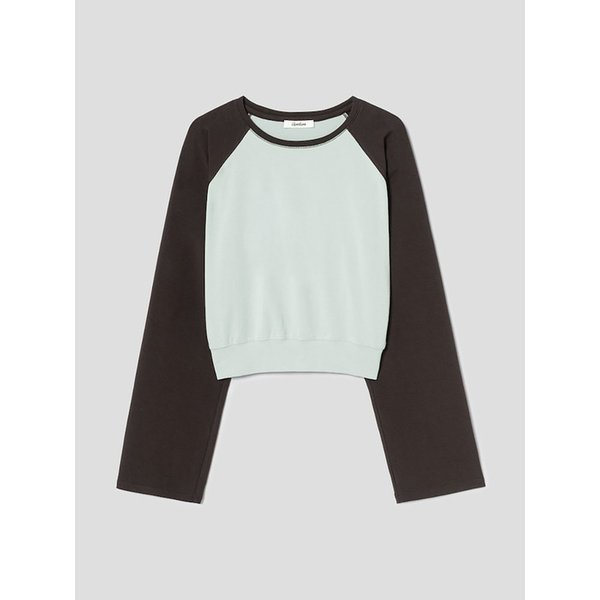Vasto Raglan Sweatshirt  Apple Green (TA5741A01K)