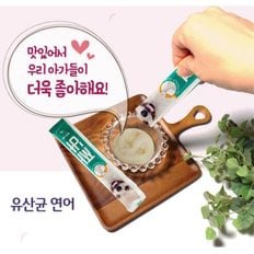 유산균 연어 짜먹는 반려견간식 오메가3 유산균간식