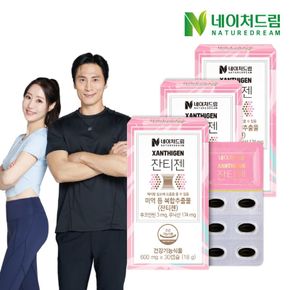 네이처드림 잔티젠 600mg x 30캡슐 3박스[29456820]