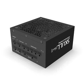 SKULL 1000XM ATX 3.0 80PLUS GOLD PCIE5  재쿨