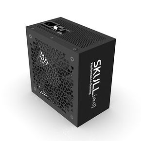 SKULL 1000XM ATX 3.0 80PLUS GOLD PCIE5  재쿨