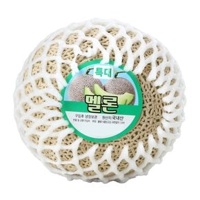 머스크메론/특