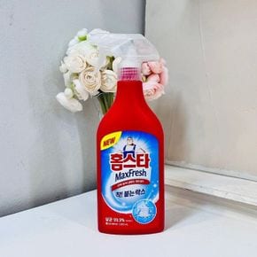 착붙는 홈스타 락스 500ml