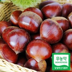 25년산 무농약 공주 정안밤 알밤 대품 2kg+2kg 농가직송