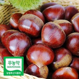 푸드마인 24년 햇 무농약 공주 정안밤 알밤 대품 2kg+2kg 농가직송