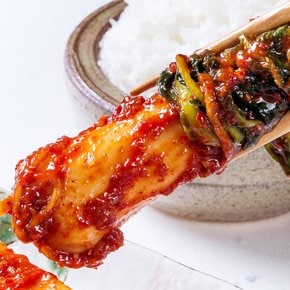 전통 남도식 총각김치 3kg 아삭아삭 정말 맛있는