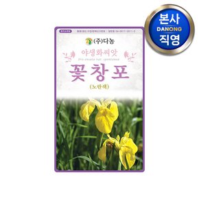 꽃창포 씨앗 1g . 아이리스 야생화 화단 조경 붓꽃과 꽃씨 텃밭 키우기 종자