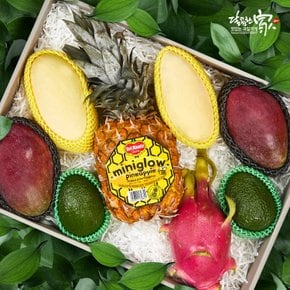 [9/21(월) 오전 9시결제건까지 명절전배송]수입과일 혼합선물세트5호 3.7kg내외(골드망고2+애플망고2+아보카도2+용과1+파인애플1)