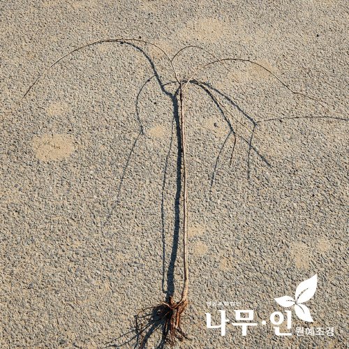 상품이미지2