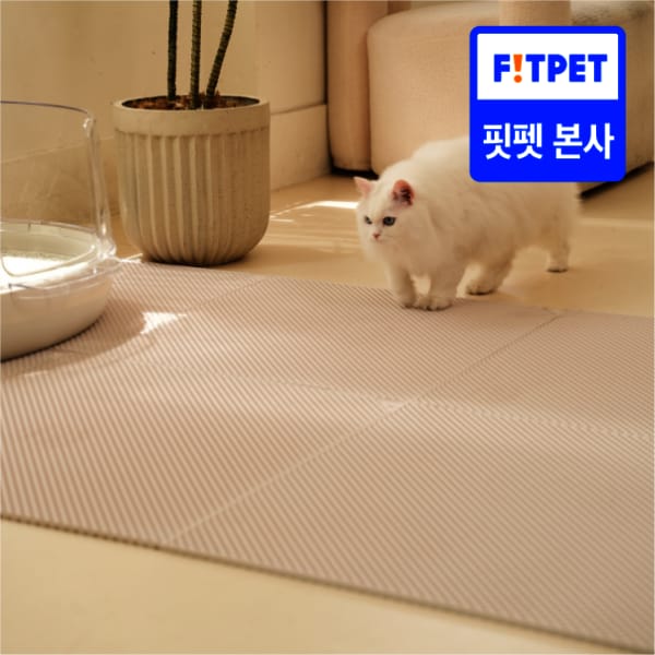 확대된 대표 상품이미지1