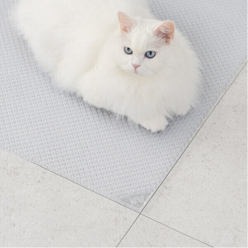 상품이미지2