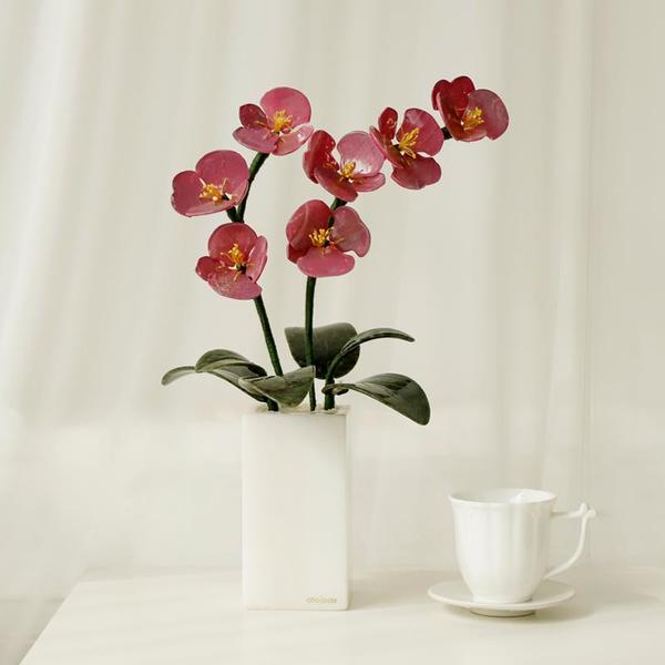 천연옥꽃 오키드 모던