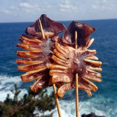 [가을바다] 영덕 오징어덕장 반건조오징어 피데기 10마리 (1.2kg 내외)