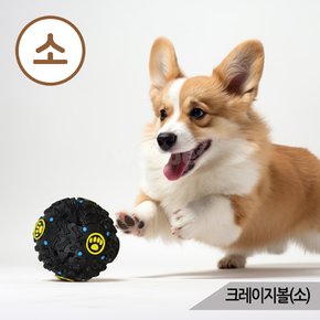 크레이지볼(소) 장난감 공 노즈워크 앵무새 강아지