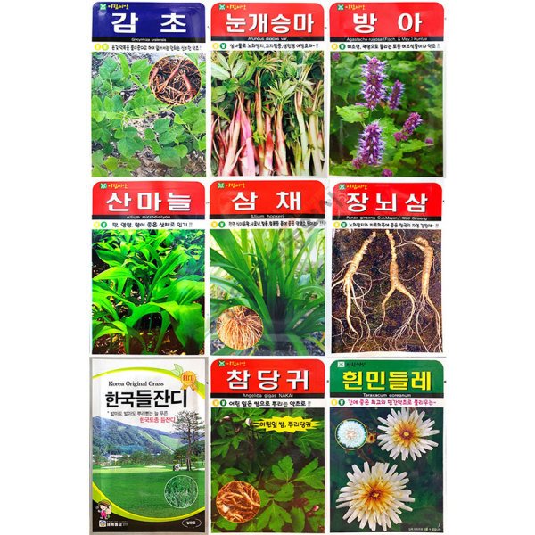 확대된 대표 상품이미지1