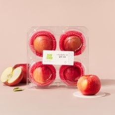  실속 사과 800g (4입) 팩